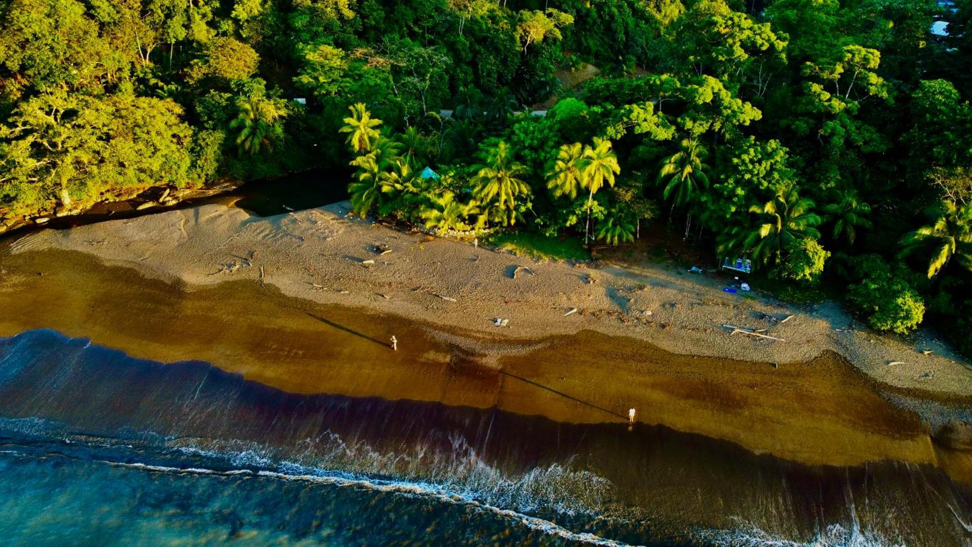Beach House Drake Bay Zewnętrze zdjęcie
