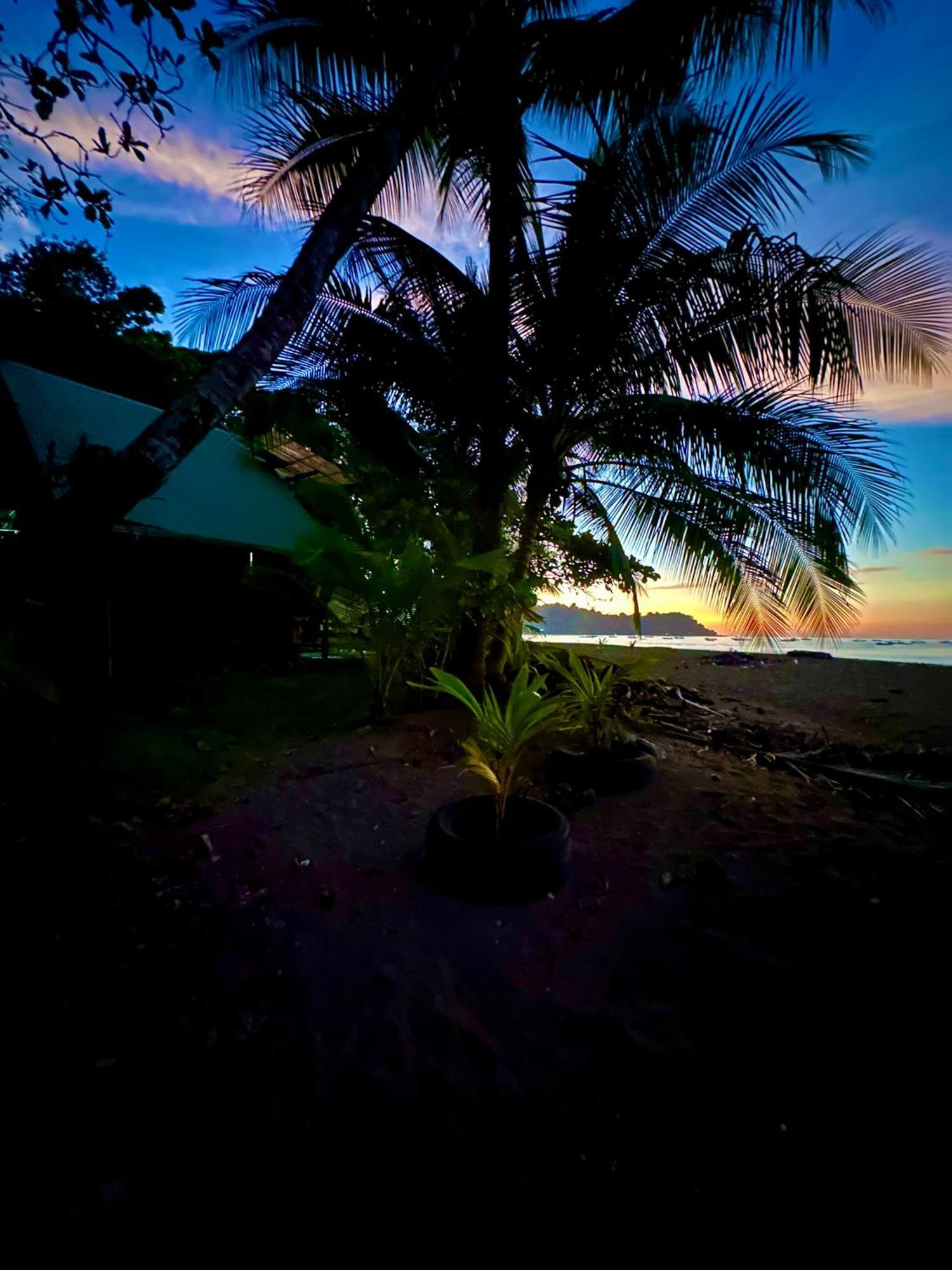 Beach House Drake Bay Zewnętrze zdjęcie